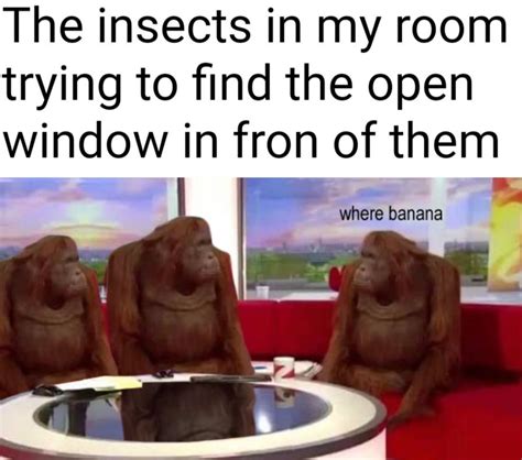 Where banana | Where Banana | Know Your Meme