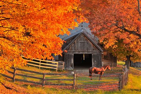 First Light - New England Today | Autumn scenery, Fall pictures, Scenery