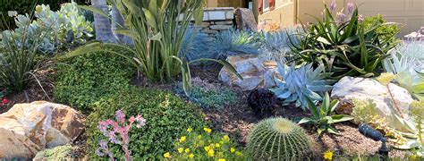 Xeriscaping: Everything You Need to Know