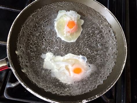 Can I Use White Wine Vinegar For Poached Eggs at Chester Schenck blog