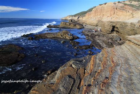 The Joys of Simple Life: Tidepooling at Cabrillo National Monument