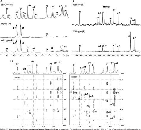 Lactobacillus johnsonii | Semantic Scholar