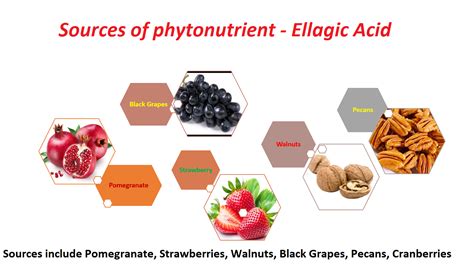 Pin on Nutraceuticals