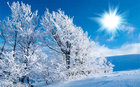 Snow Scenery Wallpaper (64+ pictures)