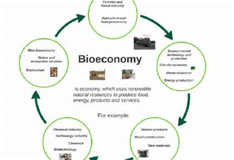 Bioeconomy definition and sectors applied by Karelia University of ...