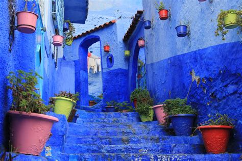 Chefchaouen, MA Vacation Rentals: house rentals & more | Vrbo