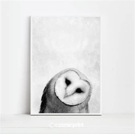 Owl Print Owl Art Owl Print Bird Prints Bird Art Wall Art - Etsy