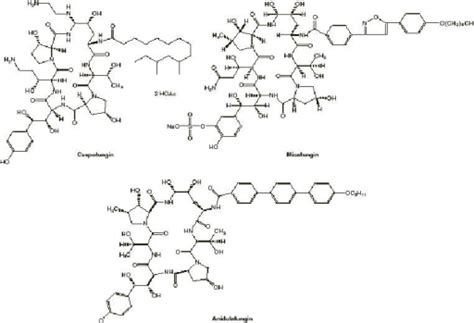 Structures of echinocandins. Copyright © 2004. Reprodu | Open-i