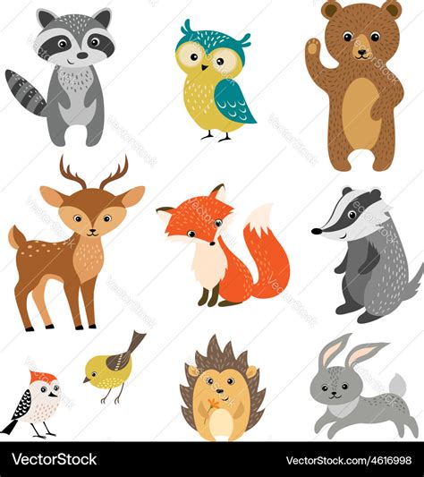 Cute forest animals Royalty Free Vector Image - VectorStock