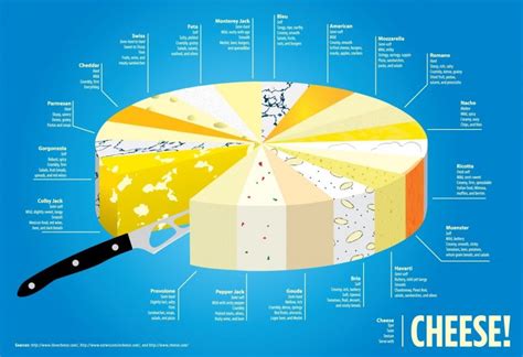 Cheese! (Infographic) | Cheese pairings, Types of cheese, Cheese