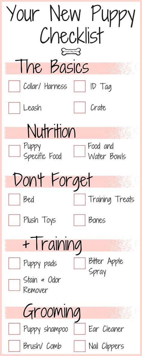 New Puppy Checklist: Everything You Need