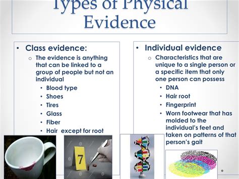 PPT - The Crime Scene and Evidence PowerPoint Presentation, free ...