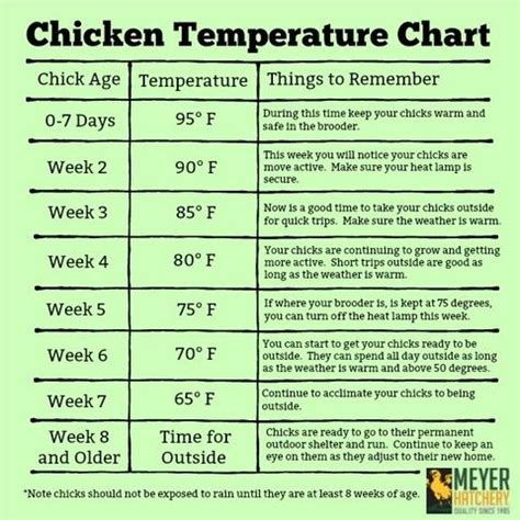 baby chicken food consumption graph answers - dayweddingoutfitguestsummerplussize