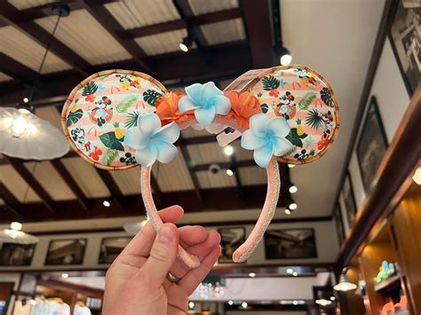 Minnie Mouse Ears: Where to Get Them, How to Wear Them, and SO Much More - MickeyBlog.com