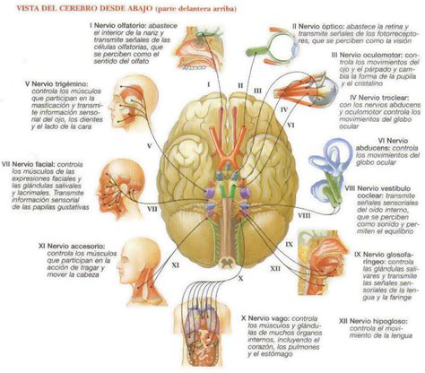 Changing the way you learn | Mind Map