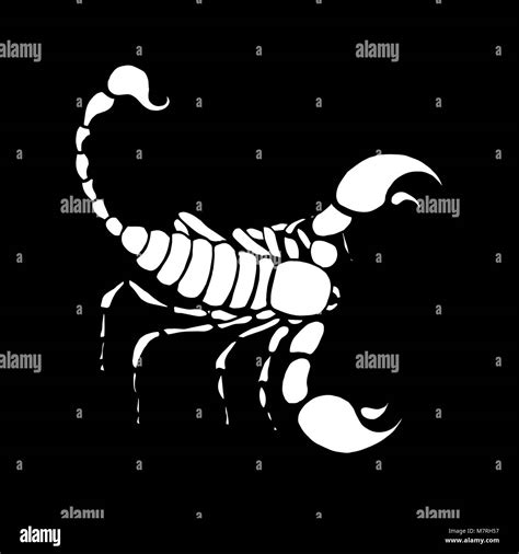 Scorpio zodiac sign in horoscope. Vector hand drawing scorpion Stock ...