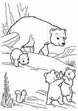 Mama Bear Coloring Page Pages sketch template