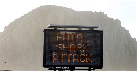 Man Killed in Apparent Shark Attack Off California, the Authorities Say ...