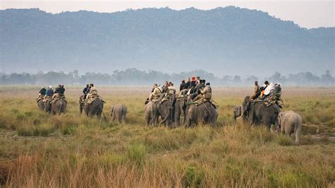 Kaziranga National Park - History, Location, Details, Ticket Price ...