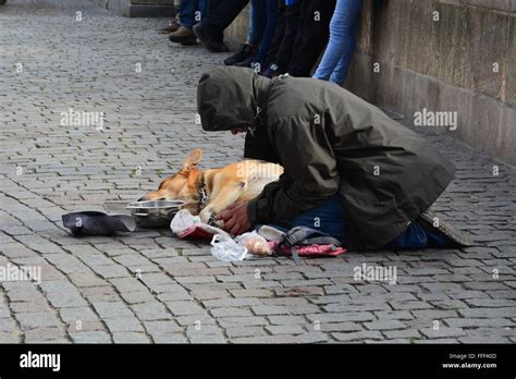 Street beggar with dog on the Charles Bridge in Prague, Czech Republic Stock Photo - Alamy