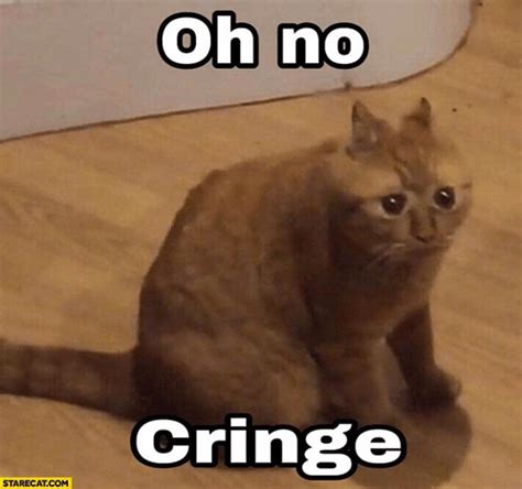 Oh No Cringe Meme GIF - Oh no cringe Meme Cat - Discover & Share GIFs