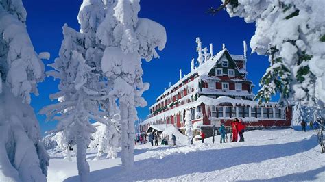 Beautiful winter in Czech Republic. Czech Republic, Mount Everest, Snow, Mountains, Natural ...