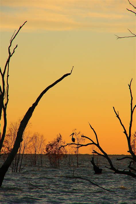 Menindee lakes | Australia travel, Outback australia, New south wales