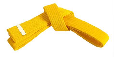 Junior Yellow Belt – Tomiki Aikido of the Americas