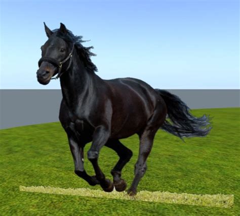 Second Life Marketplace - Horse Black Stallion running on meadow with ...