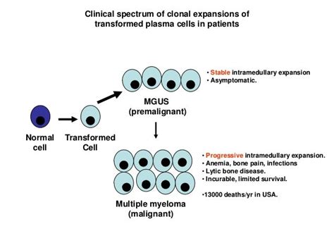 Plasma Cell Disorders