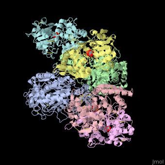 Transferrin receptor - Proteopedia, life in 3D