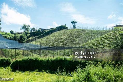 El Santuario Photos and Premium High Res Pictures - Getty Images