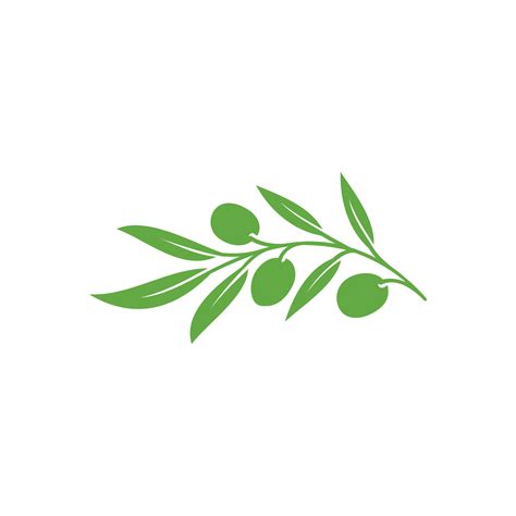 Olive logo icon illustration. Olive icon vector. olive branch flat sign ...