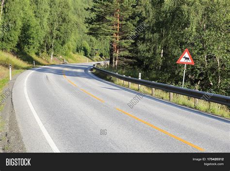 Norway Moose Image & Photo (Free Trial) | Bigstock