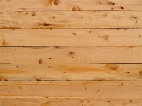 Spruce vs Pine: What's the better lumber? 2024