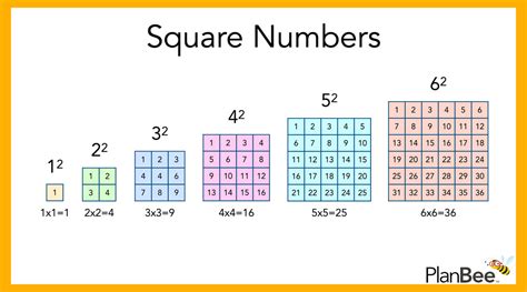 Square Numbers facts and information | A PlanBee Blog