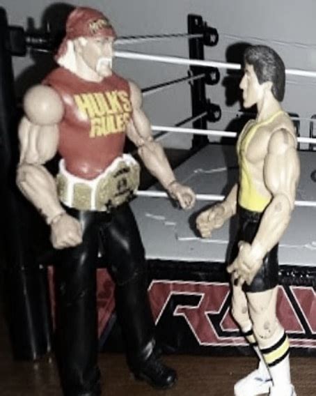 WORLD CHAMPIONSHIP WRESTLING ALLIANCE: WWF Champion Hulk Hogan is ...