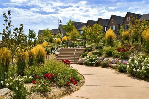 Expert Parker, CO Sustainable Landscaping Design