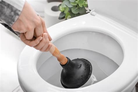 8 Steps to Plunging the Toilet Correctly | Mike Diamond