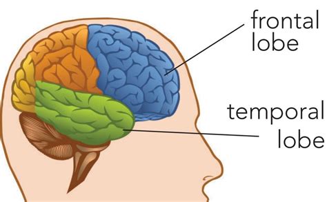 What is Dementia?