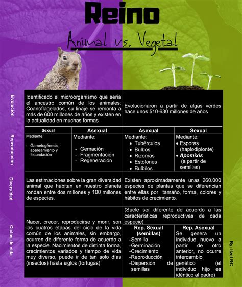 Cuadro comparativo animales y plantas - Identificado el microorganismo que sería el ancestro ...