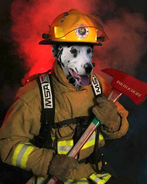 Firefighter Photography | Firefighter Dalmatian - Funny Photoshopped ...