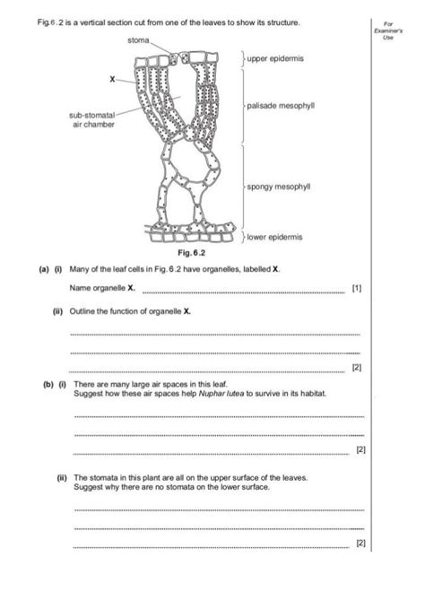 Science papers ks3 year 8 - Write my essay | copywriterbookbub.web.fc2.com