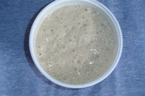 Wild Yeast Sourdough Starter Recipe - Food.com