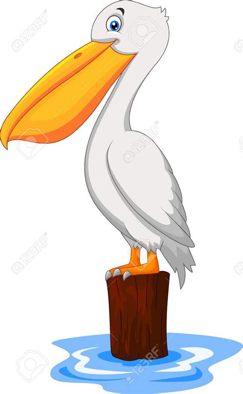 Pelican Cliparts, Stock Vector And Royalty Free Pelican Illustrations | Pelican drawing, Pelican ...