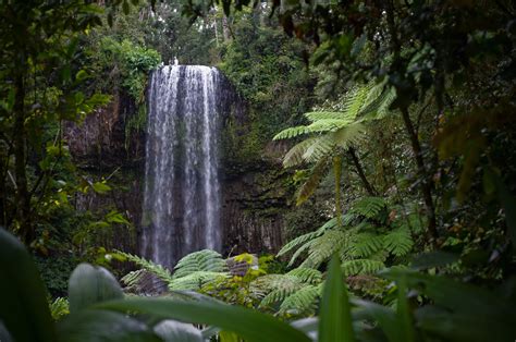 Waterfalls Cairns - Natural Paradise - CairnsAustralia.com