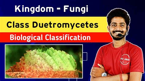 Kingdom Fungi - Class deuteromycetes Classification Habitat, Thallus Structure, Nutrition - YouTube