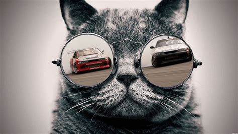 Glasses Cat Galaxy HD Wallpapers - Top Free Glasses Cat Galaxy HD Backgrounds - WallpaperAccess