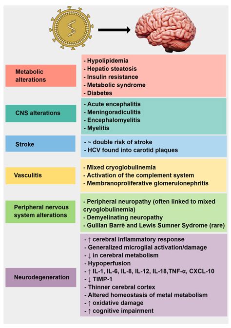 Brain Sciences | Free Full-Text | Hepatitis C Virus-Related Central and ...