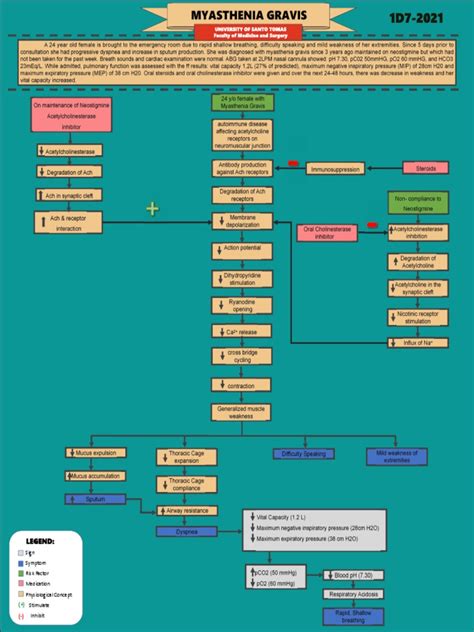 MYASTHENIA-GRAVIS Concept Map PDF | PDF